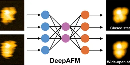 Our collaborative research paper with Prof. Mori (Tokyo University of Science) and Prof. Tsukazaki (NAIST) has been published in the Journal of Chemical Information and Modeling.