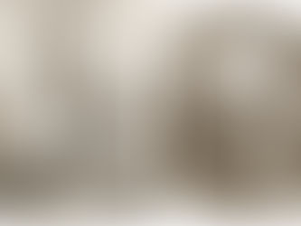 The Collapse of the Pemberton Mill