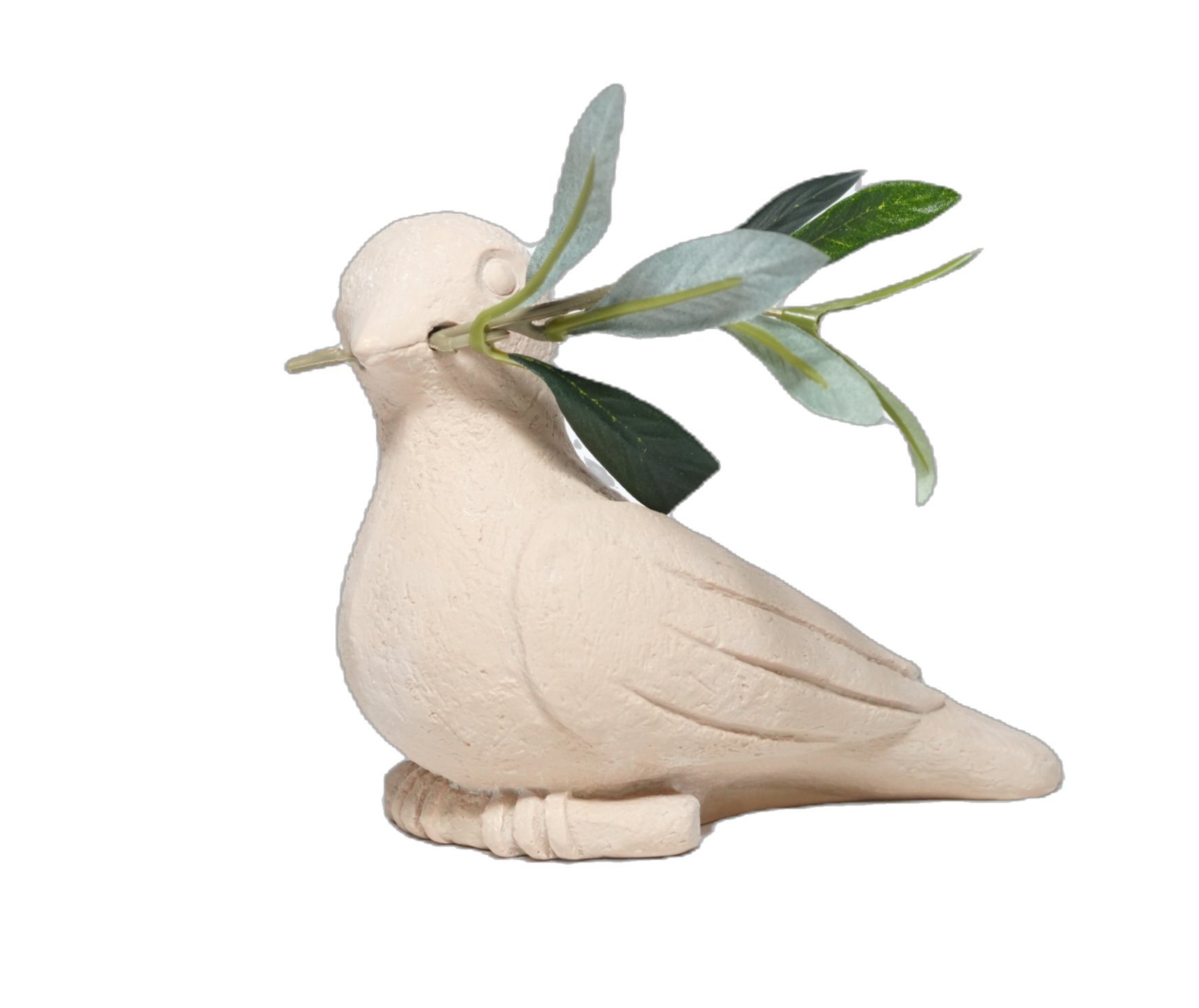 Dove 4½"