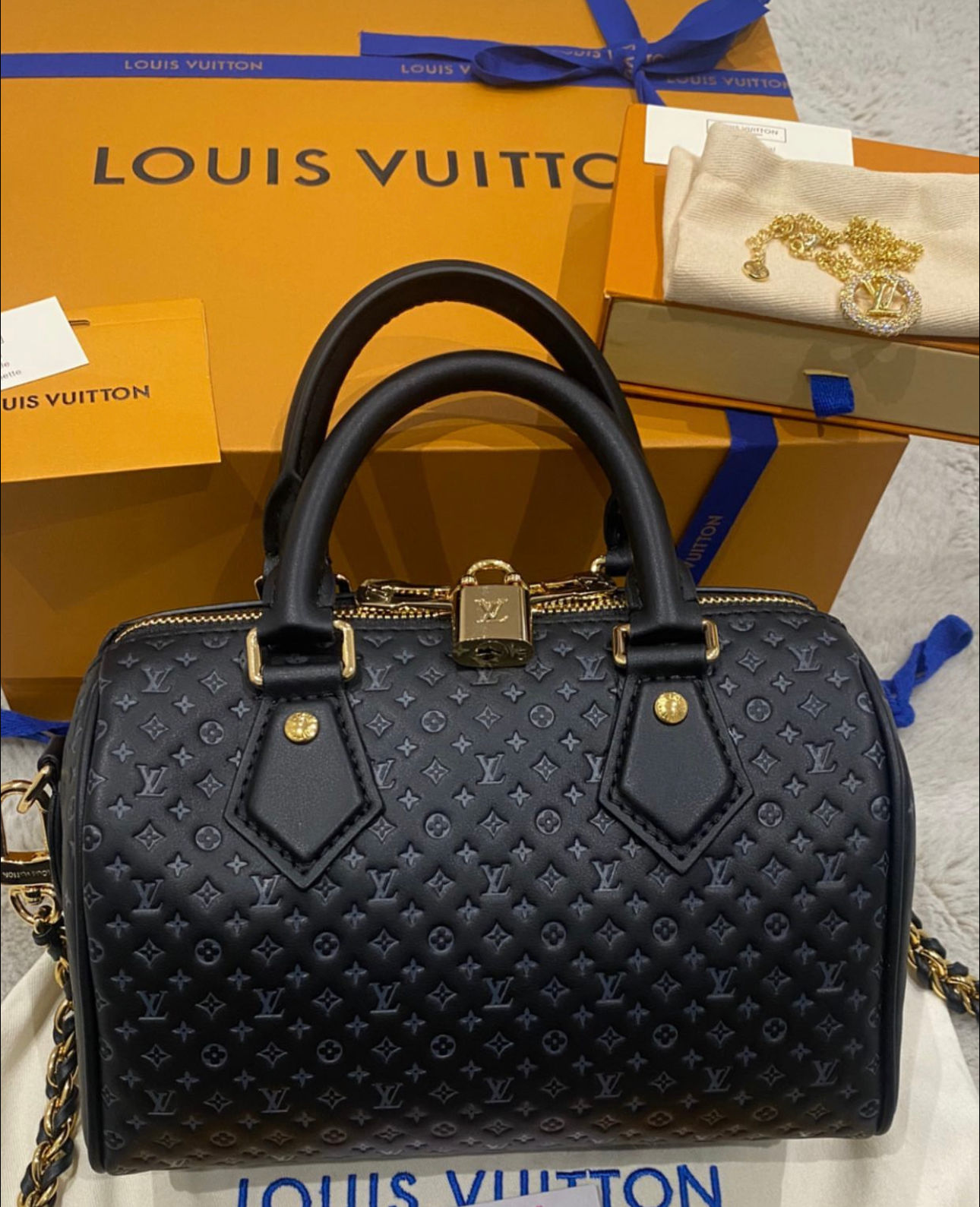 LV Speedy Bandoulière 20 Bag