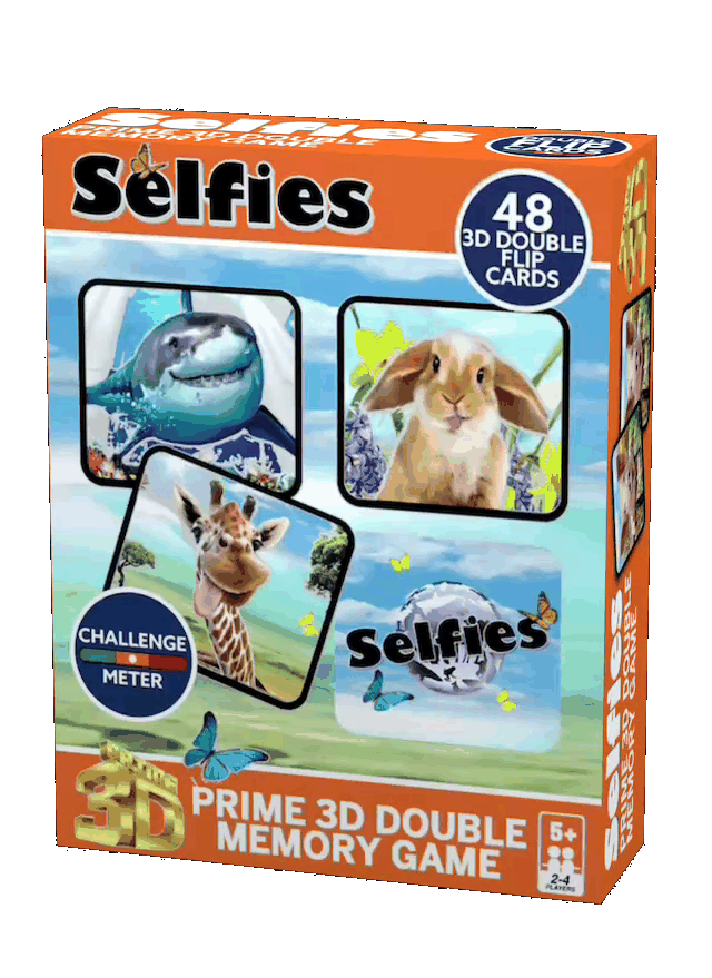 MemoryCards_2_640x879_BRIGHT_15PCT_HALF_SPEED_TRANSPARENT.gif