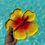 Miniaturbild: Hibiscus Tray