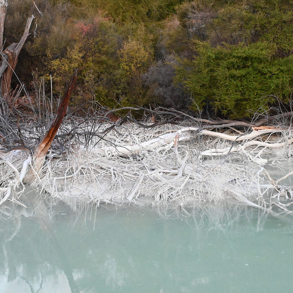 Regenerative building: Examples, processes and narratives from an ongoing paradigm shift, vol. 1