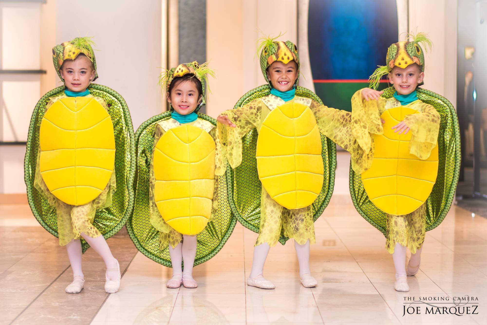 Sea Turtle Dancers