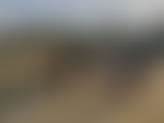 Stage Moutain Trail pour les coachs !