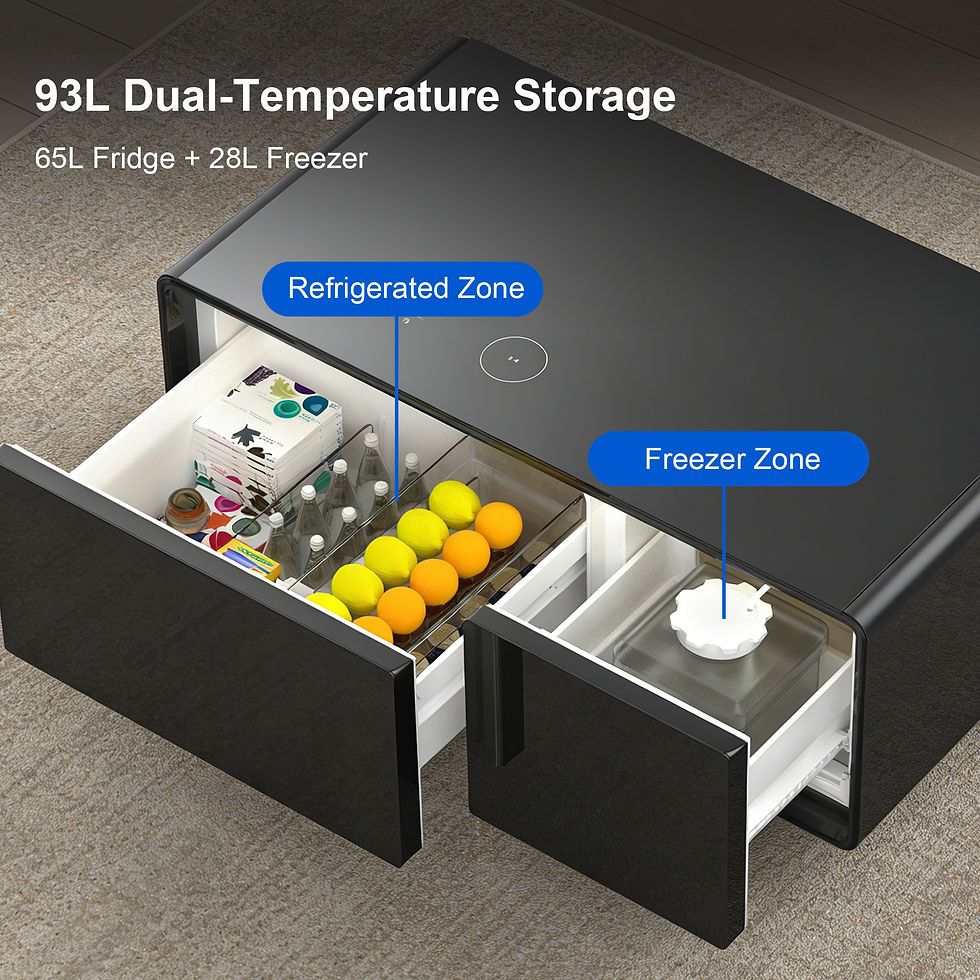 Thumbnail: 93L dual-temperature storage diagram showing 65L refrigerated zone and 28L freezer zone