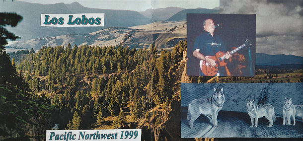 LOBOS inside B (2).jpg
