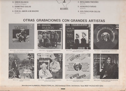 GAVILANES back LOW.jpg