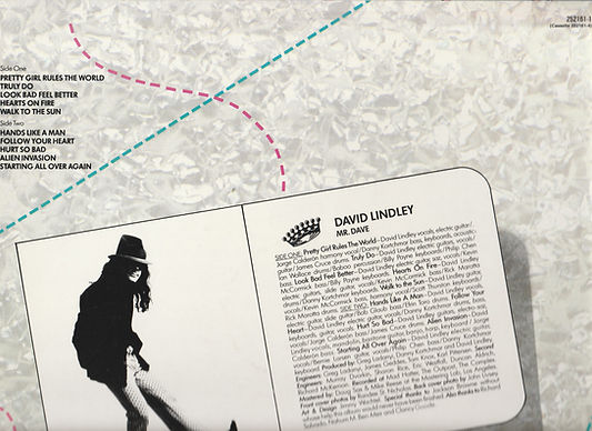 MR DAVE back Top.jpg