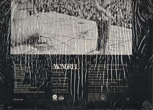 SEGER back LOW (2).jpg