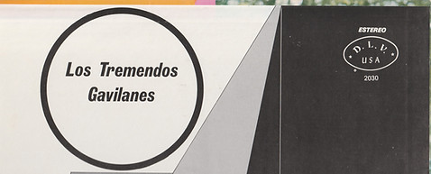 GAVILANES back Top.jpg