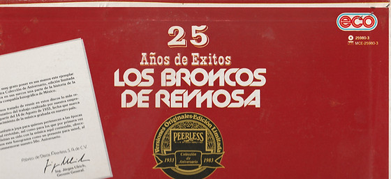 BRONCOS back Top.jpg