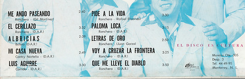 GAVILANES back LOW.jpg