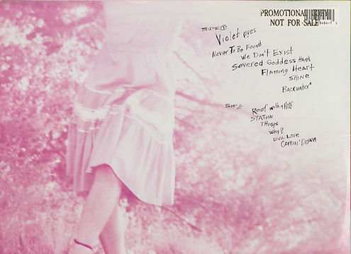 MEAT PUPPETS back Top.jpg