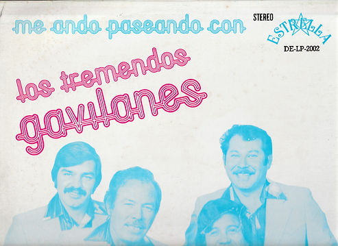 GAVILANES back Top.jpg