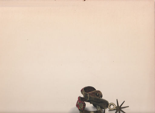 COWBOYS back Top.jpg