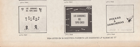 GAVILANES back LOW.jpg