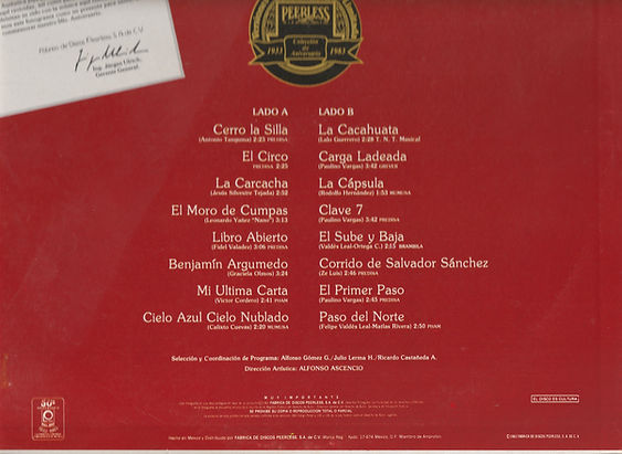 BRONCOS back LOW.jpg