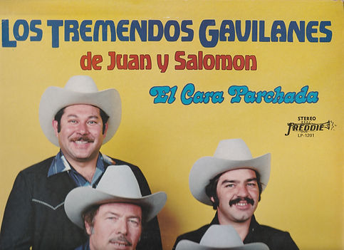 GAVILANES Top.jpg