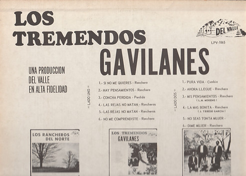 GAVILANES back Top.jpg