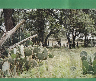 Troobs inside cover (3).jpg