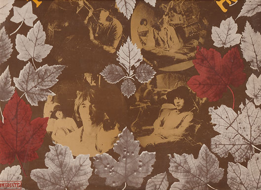 Scan_20221031 (11).jpg