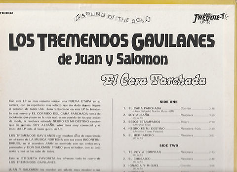 GAVILANES back Top.jpg