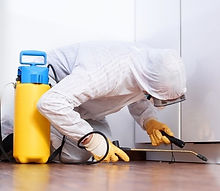 best-pest-control-services_edited.jpg