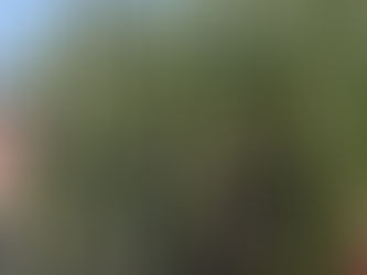 Breaking the Silence         (Understanding Childhood Trauma)