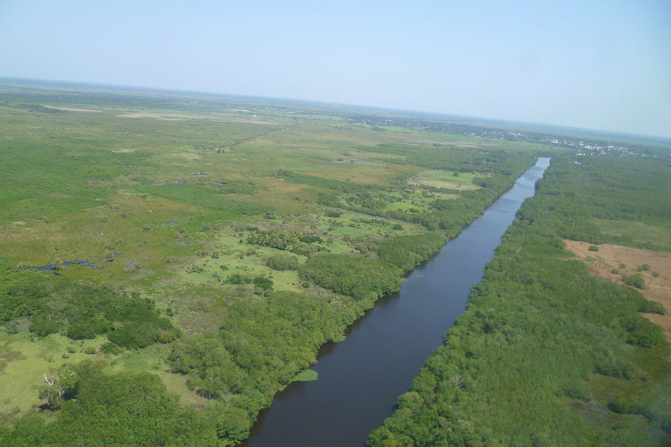 Río Tonala