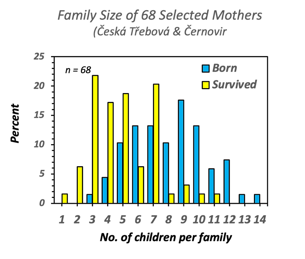 Women's Work: Making Families