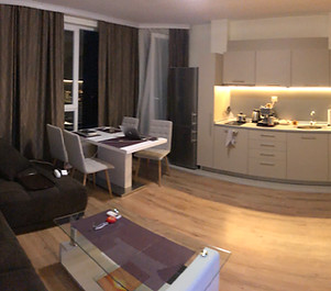 Apt 1 liv room.jpeg