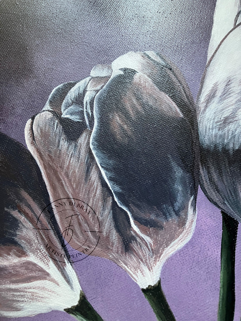 Tulipes violettes