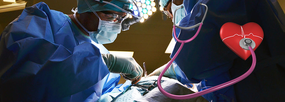 doctor-650534.jpg
