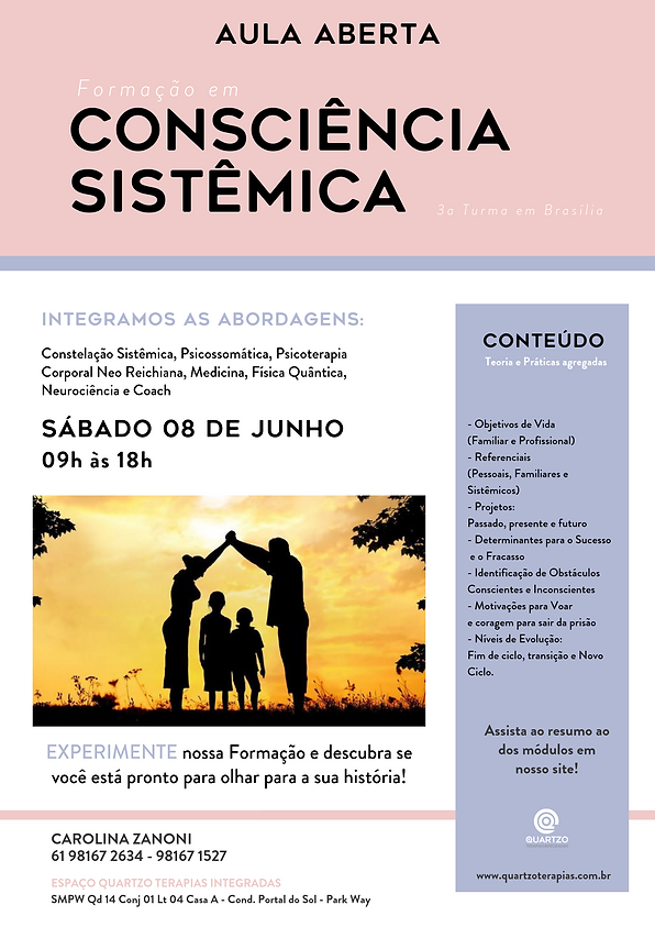CONSCIÊNCIA SISTÊMICA (6).png