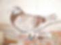 P09-814TPC17.JPG