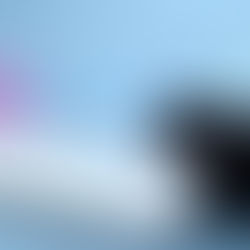 Does the Company Size Matter While Looking for a Job?