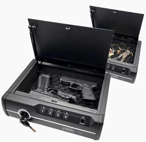 2-pistol biometric case website.jpg