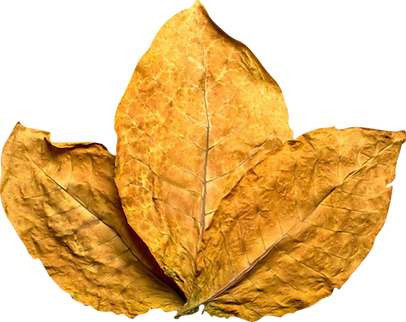 leaf.png