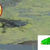 Thumbnail: OG SNAKE CHARMER DUAL COLORADO