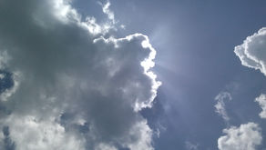 Delighting in your success