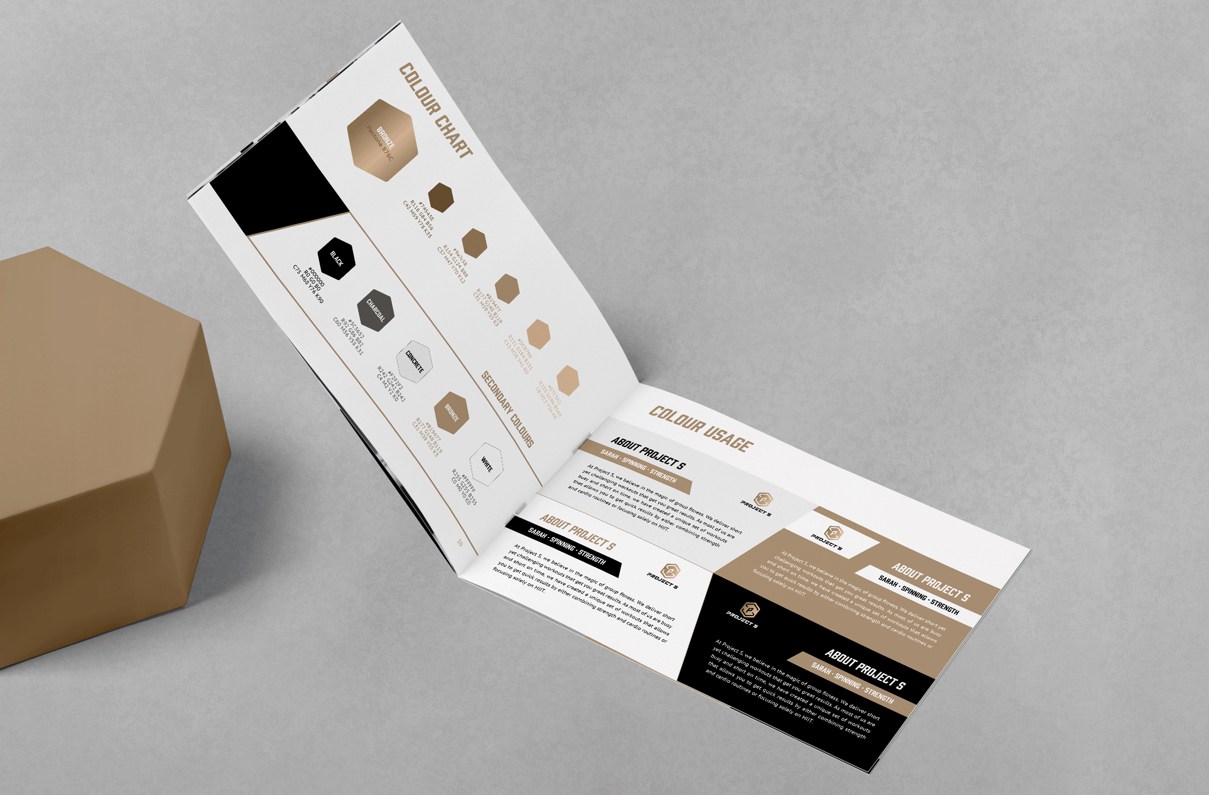 Project S Brand Guidelines