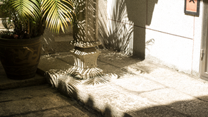 Meet Our New Brand • TANG TANG TANG TANG