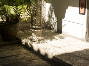 Meet Our New Brand • TANG TANG TANG TANG