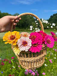 CutFlowers.jpg