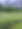 IMG_8317.jpeg