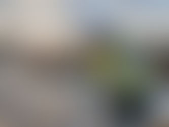 The Importance of Professional Roof Repairs and Replacements