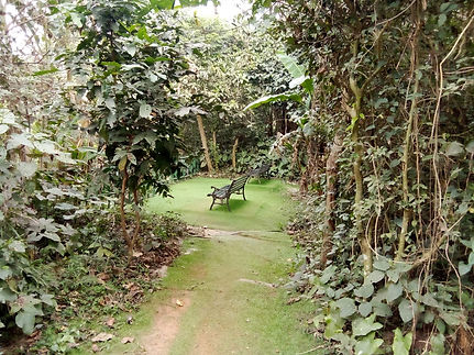 WhatsApp Image 2025-02-28 at 8.18.21 AM.jpeg