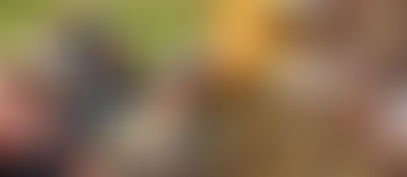 Trailheads Beat Around Mulberry Bush, Pop Into Hog Mountain For 5-Star Yelp BBQ.