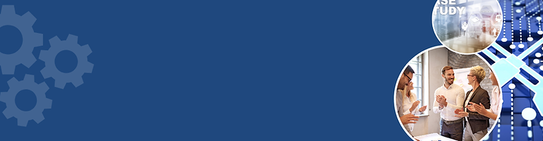 Business System Consulting Adelaide.png